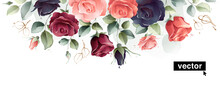 Vector Watercolor Flowers. Floral Top Header Illustration With Abstraction Roses, Leaves, And Buds.