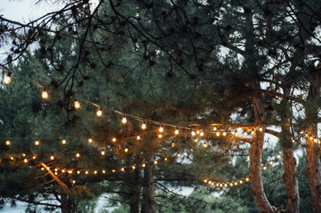 Decorative outdoor string lights hanging on tree in the garden at night time