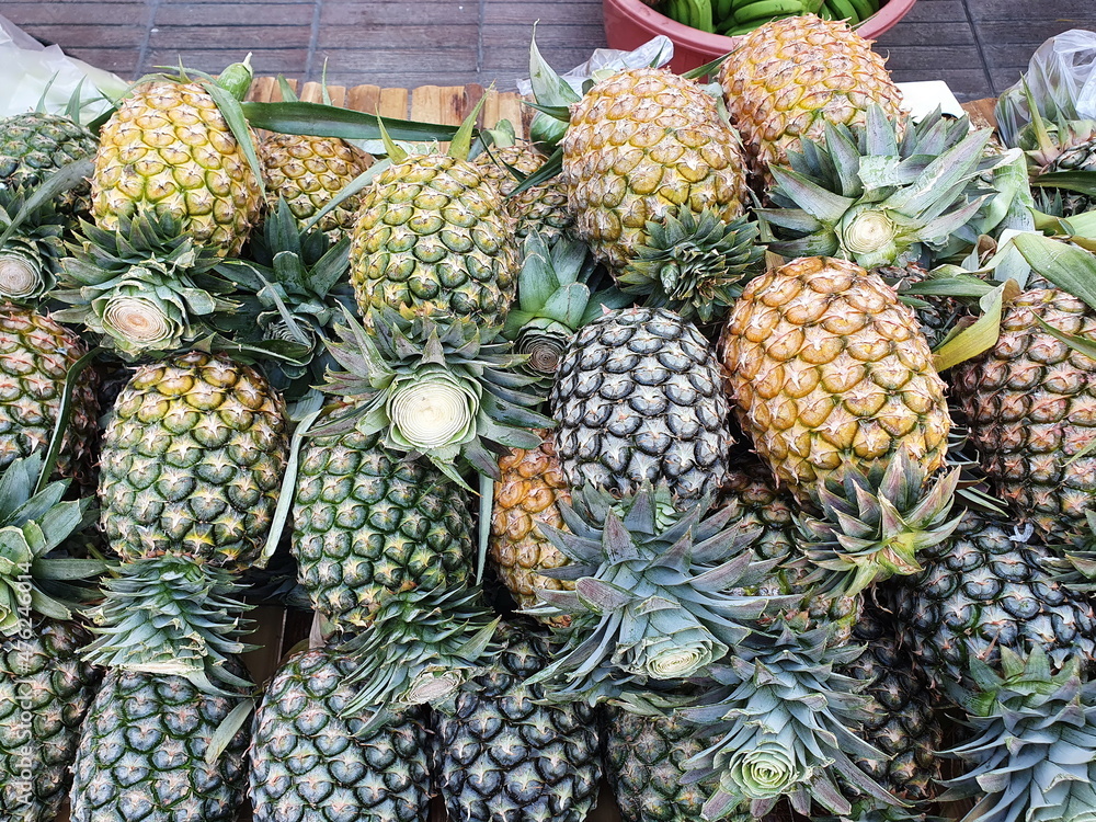 Organically grown pineapples are arranged in tall piles. Scientific ...