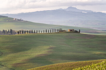 Wall Mural - amazing spring morning among picturesque green rolling hills in the heart of tuscany