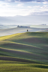 Wall Mural - amazing spring morning among picturesque green rolling hills in the heart of tuscany