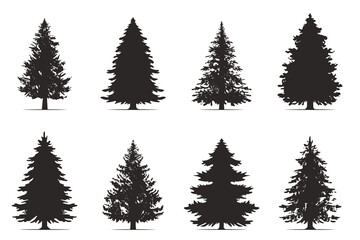 Wall Mural - Vintage trees and forest silhouettes set in monochrome style. Set. Silhouette of pine trees.