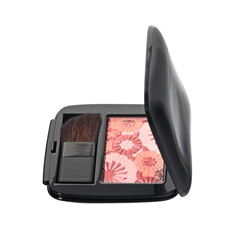 Poster - Open cosmetic set with blush and makeup brush in black plastic case