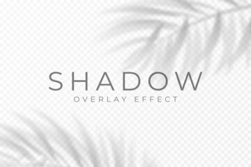 Leinwandbilder - Shadow overlay effect. Transparent soft light and shadows from plant branches, leaves and foliage. Mockup of transparent shadow overlay effect and natural lighting. Vector