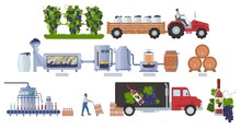 Wine Production Manufacturing Process Infographic, Vector Illustration. Winemaking Steps, Distribution, Consumption.