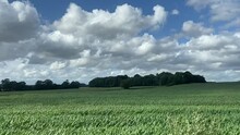 Wide Shot Out Of A Window Of Train, Tracking Along Flat British UK Southern England Countryside And Farmland Clouds And Blue Sky - Stock Footage Video