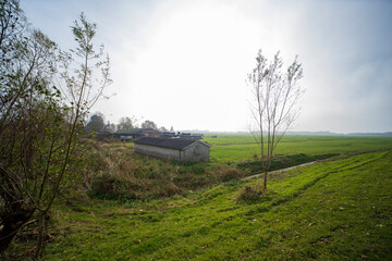 Dutch autumn landscape with a  shed and a farm