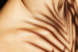 © Marianna Jaszczuk/Wirestock - Closeup shot of collar bones of a woman with a plant shadow
