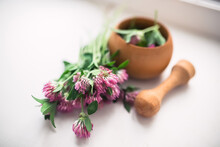 Still Life With Trifolium Pratense, Red Clover Flowers Collected In The Meadow In A Wooden Mortar. Preparation Of Elixirs Or Medicines From Medicinal Herbs By Herbalists
