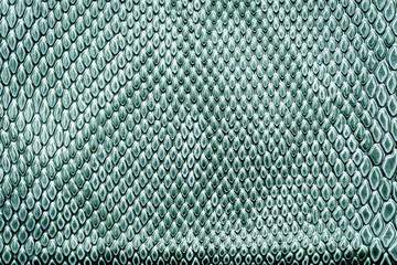 Wall Mural - Close up of snake skin texture