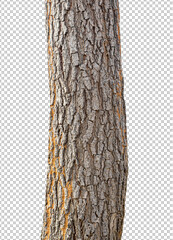 Aufkleber - Trunk of a Tree Isolated On White Background