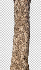 Aufkleber - Trunk of a Tree Isolated On White Background