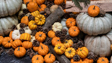 Pumpkins Background. Suitable For Thanksgiving, Christmas, Halloween Themes