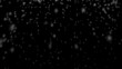 © Creative Design - Falling real snowflakes on black background. White snow falling down on black background. Falling snowflakes isolated on black background - Design element.