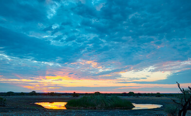 Wall Mural - Scenic sunset in the Etosha National Park in Namibia, Namib desert, Africa. Lone tree at amazing sunset reflection in the water hole