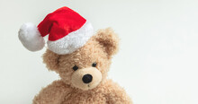 Christmas Present. Teddy Bear Wearing Santa Hat On White Background, Holiday Greeting Card.