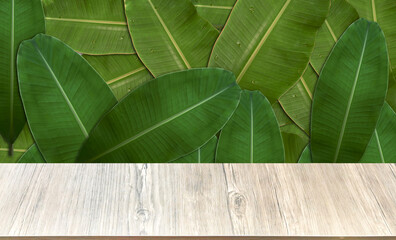 Wall Mural - A wooden table in front, the background is a green banana leaf arranged like a wall. Thailand 