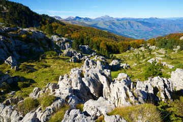 Sticker - Autumn in the Pyrenees