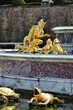 © Denise Serra - The Latona Fountain in the Garden of Versailles in France