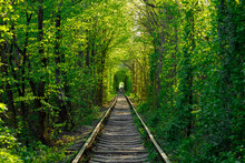 A Railway In The Spring Forest Tunnel Of Love