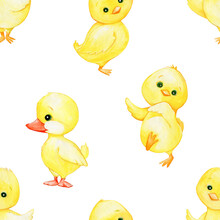 Cute Chickens And A Duckling, In Cartoon Style, On An Isolated Background. Watercolor Seamless Pattern, On An Isolated Background.