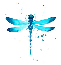 Flying Blue And Turquoise Dragonfly Surrounded By Splashes And Drops, Hand-drawn In Watercolor Isolated On White Background.