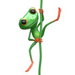 3D Illustration of a Mischievous Frog on Liana