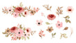 Watercolor pink floral elements and arrangement collection