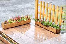 Two Flower Boxes Perpendicular To Each Other On A Rain-drenched Boardwalk, Next To A Wooden Fence.
