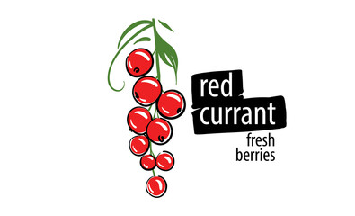 Wall Mural - Drawn vector red currant on a white background