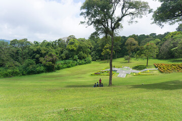 Bedugul Botanical Gardens, Bali, Indonesia (17 December 2021): Natural green grass stretches across the trees. A gathering place for family vacations in Bali.