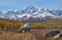 Autumn Highland Landscape. Picturesque Boulders Are On Foreground And Larch Forest With Snow Mountains Are On Background.
