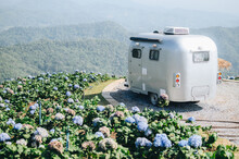 A Caravan Of Travel Trailer Parking In Hydrangea Garden On 'Doi Channg' A Famous Mountain Village For Coffee Production In Chiang Rai Province, Thailand.