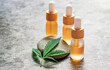 CBD or THC full spectrum medical Cannabis oils on stone table with Hemp leaf copy space
