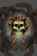 Skull Medusa Vector Illustration