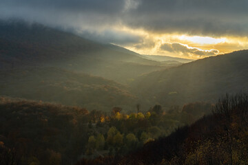 Wall Mural - View of the autumn forest during sunset