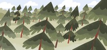 Evergreen Fir Trees Forest Landscape. Nature Panorama With Conifer Wood. Coniferous Woodland With Lot Of Green Spruces. Forestry Panoramic View. Countryside Environment. Flat Vector Illustration