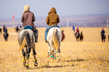 Horses Are Large. Harnessed And Saddled, The Horses Are Tied To A Stall In A Green Meadow. Horseback Riding. Against The Background Of The Mountains.