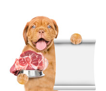 Happy Mastiff Puppy Holds Bowl With Raw Meat And Shows Empty List. Isolated On White Background