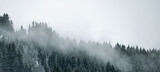 Fototapeta Las - Amazing mystical rising fog sky forest snow snowy trees landscape snowscape in black forest ( Schwarzwald ) winter, Germany panorama banner - mystical snow mood