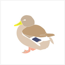 Wild Ducks Sketch.Image On White And Colored Background.Pattern.Vector.