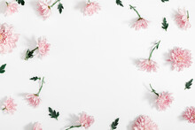 Beautiful Flowers Composition. Pink Flowers On White Background. Valentines Day, Easter, Happy Women's Day, Mother's Day. Flat Lay, Top View, Copy Space