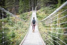 Man Hiking With Dog Crossing Long Suspension Bridge In The Woods Of Canadian Rockies, Narrow Shot