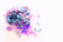Creative Image Of Pink And Turquoise Hydrangea Flowers On Artistic Ink Background. Top View With Copy Space