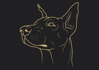 Wall Mural - Doberman. Dog. Dog head. Gray background. Pet.