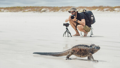 Galapagos islands wildlife photography photographer tourist man taking photos of marine iguana walking on Tortuga Bay beach, Santa Cruz island. Galapagos cruise travel. Eco-tourism in Ecuador.