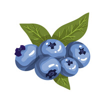 Juicy Blueberries With Leaves. Cartoon Vector Graphics.