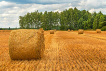 Front View Of A Roll Of Hay Against The Background Of A Green Forest And Other Rolls In The Distance. The Sky Is Covered With Clouds. Summer. Daylight Soft Light.