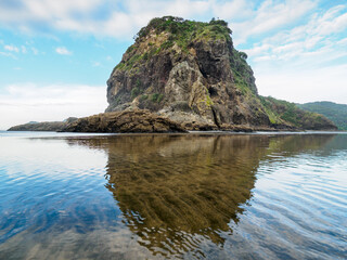 Wall Mural - View of Piha Beach, Auckland, New Zealand with Lion Rock with reflections and evening clouds