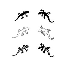 Animal Vector Lizard Salamander Gecko Crocodile And Reptiles Design Logo
